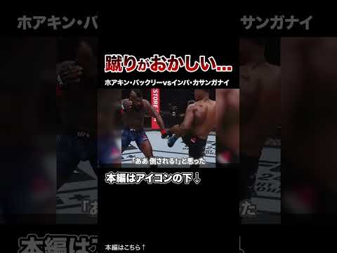 「まるで漫画のようだ…」異次元すぎるハイキックKO16連発！！【格闘技】#格闘技 #ボクシング #MMA