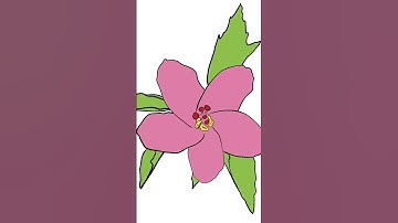 Line art time lapse on procreate. #arttimelapse #flowerart