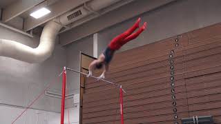 Colin VanWicklen - High Bar - 2018 World Team Selection Camp - Day 2