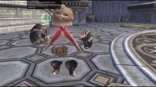 Tera Online - Invisible Popori (not cheats, just bug)