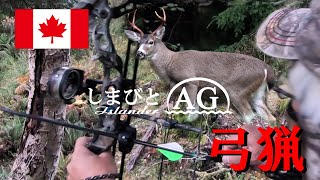 【カナダ 田舎暮らし】【コンパウンドボウ】鹿の待ち伏せ猟、狩猟、日本人初⁉ |  | 大物雄ジカのボウハンティング | 鹿猟、鹿の狩猟 44