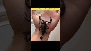 Are Venom and Poison the Same?  #shorts #shortsinhindi