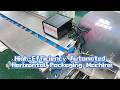 Fully Automatic Pillow Packing Machine for Jaggery Cubes & Brown Sugar Products