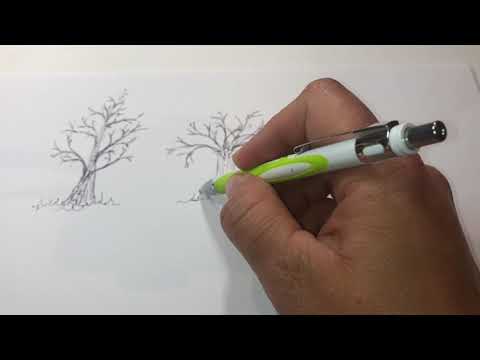 Video: Hvordan Tegne Trær Med Blyant