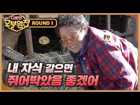 다문화 고부 열전 272회