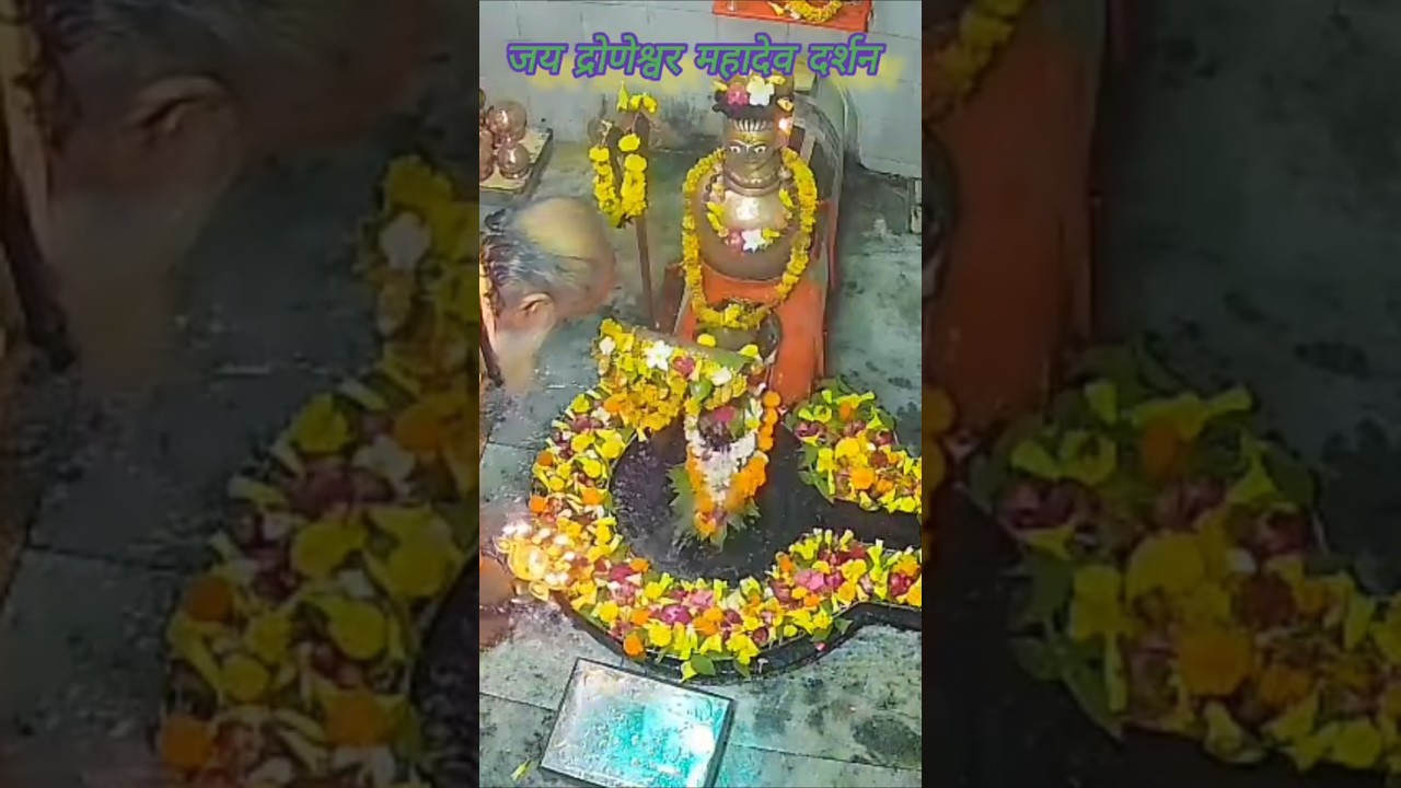 #जयद्रोणेश्वरमहादेवदर्शन  #shortsvideo #videoviral #reels  #