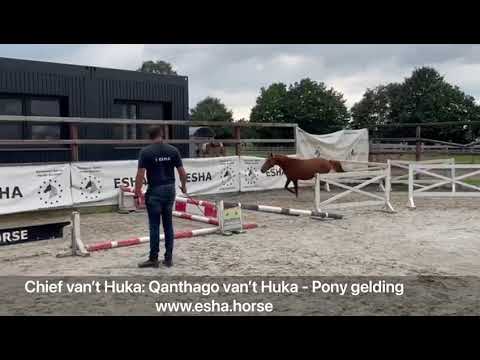 Chief van’t Huka:QANTHAGO VAN’T HUKA x /
