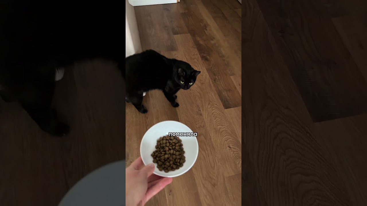 💊Артикул на пребиотики для здоровья кишечника вашего питомца: 