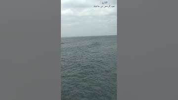 🔴ماتيسر من الذكر الحكيم بصوت القارئ عبد الرحمن بن عائشة
