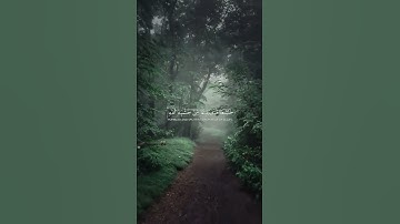 القران الكريم | نورٌ وهدى.. كلام الله الذي يشرح الصدور ويهدي القلوب ✨📖#القرآن_الكريم #القرآن