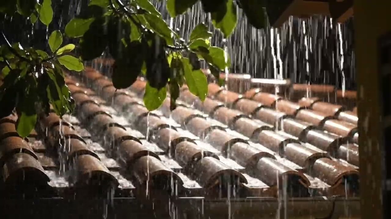 Rain in the Jungle for Deep Relaxation