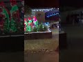 Christmas cactus, Christmas lights, Australia
