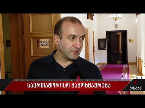 საერთაშორისო კრიტიკას თბილისში პოლიტიკოსები ეხმაურებიან