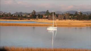 HUMEDALES DEL RIO VALDIVIA