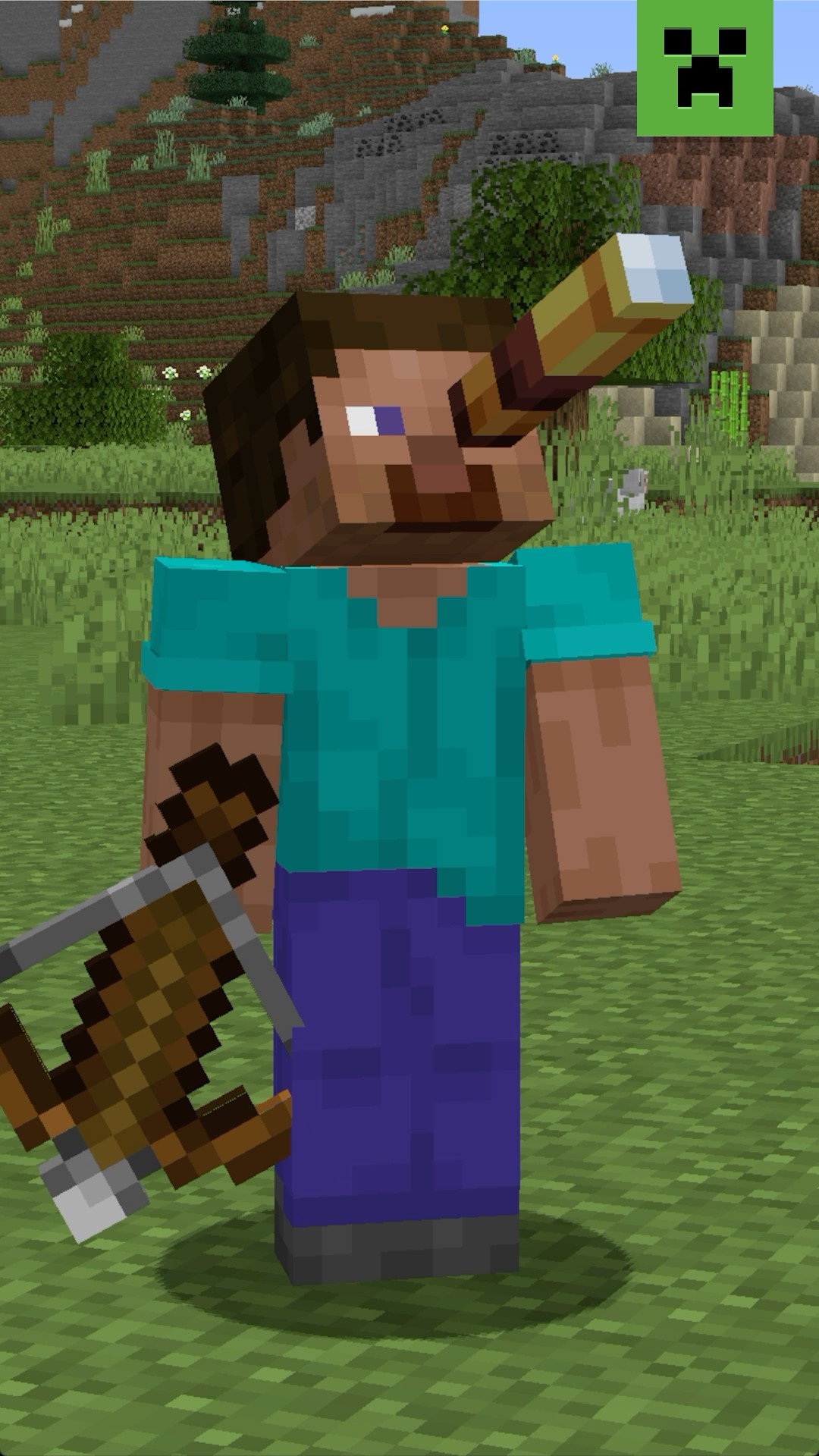 REMEMBER THESE MINECRAFT BUGS?