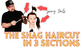 HOW TO CUT A SHAG HAIRCUT IN 3 SECTIONS - TIKTOK TREND SHAG HAIRCUT - shag mullet wolf cut