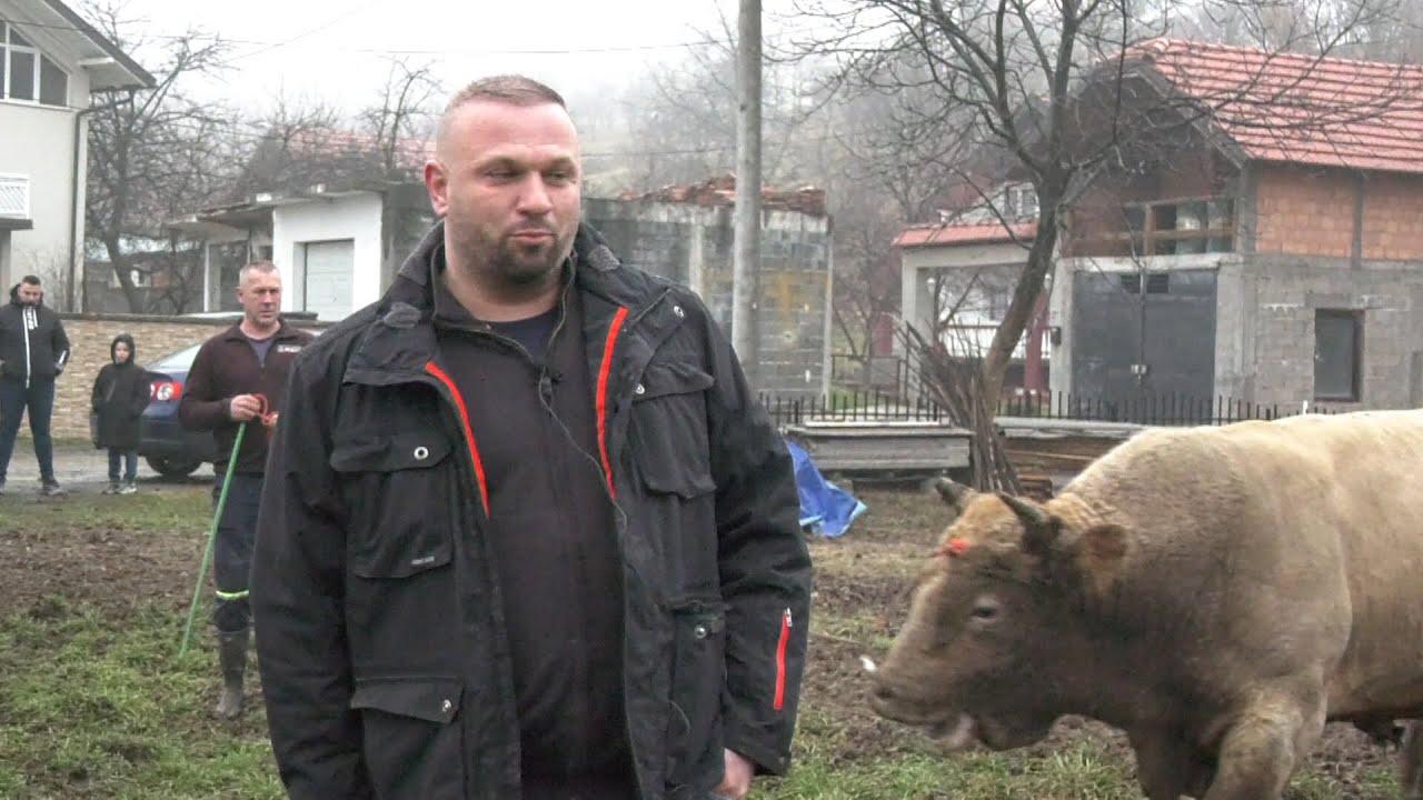 - U AUSTRIJI FIRMA I NEKRETNINE, SRCE U BOSNI UZ BIKOVE I KORIDE