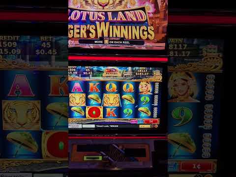 Happy Lantern Slot Bonus ($200,000 bet spin) Lightning Link Casino App 🎰