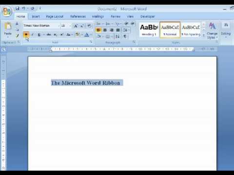 What is ms word in computer