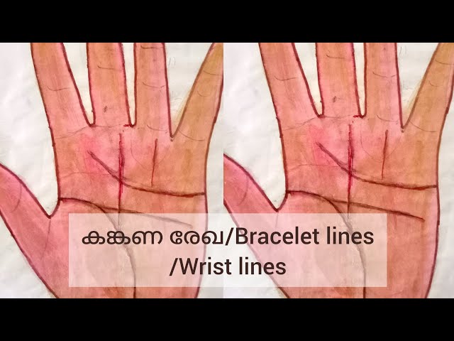 Lucky bracelet line ? Wrist lines in Palmistry, Bracelet lines in Your  Hand, Manibandh line on hand - YouTube