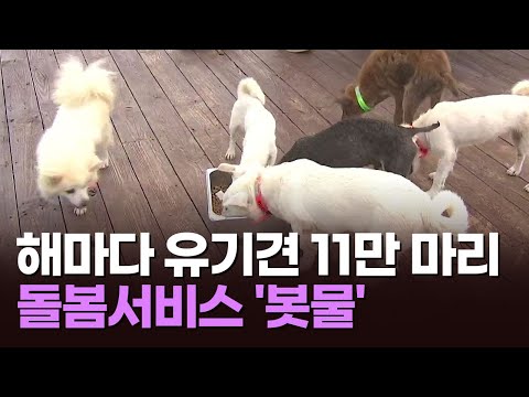 …지자체, 돌봄서비스 &amp;#39;<strong>봇물</strong>&amp;#39;