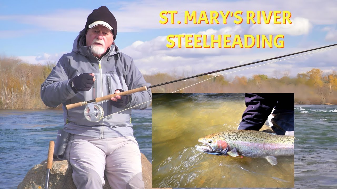 September Steelheading | St. Mary's River
