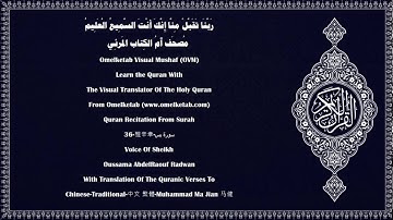 36 雅辛章 سورة يس Chinese Traditional 中文 繁體 Muhammad Ma Jian 马健 Radwan