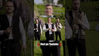 Ovidiu Nechita - Nu-mi pare rău Doamne d-anii ce-or trecut #promo #ovidiunechita #sicoenetwork