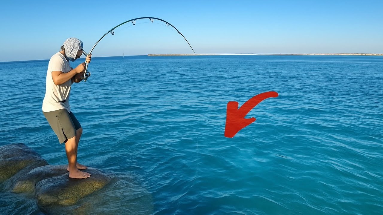 Dream Fish Hiding in Jetty RocksWe Caught & Ate It! - YouTube
