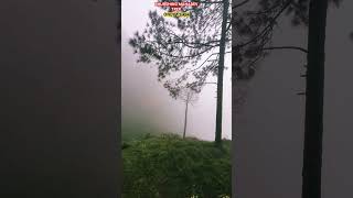 Bhurshing Mahadev Trek 😍 भूर्शिंग महादेव ट्रैक #trending #shorts #temple #mahadev  #hindutemple