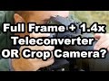 Crop Camera Or Full Frame Camera With A 1.4 Teleconverter?