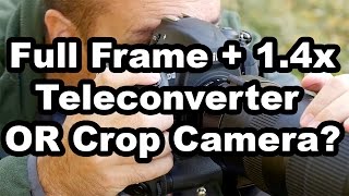 Crop Camera Or Full Frame Camera With A 1.4 Teleconverter?