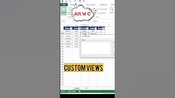 Excel Time-Saving Tricks: Master Custom Views for Efficient Data Management!