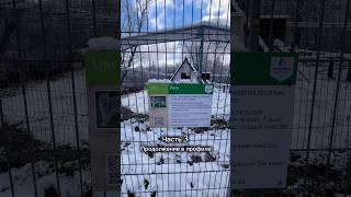 Тгк: ЛОСЕВА Life 🧘🏻‍♀️ #рекомендации #семейныйканал #паркотдыха #ферма #длядетей #догблог #топ