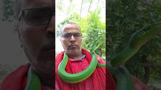 I am alone .. #snake #buddy #petshub