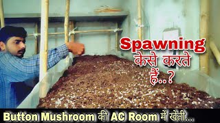 Ac Mushroom Farming || कम्पोस्ट में Layer Spawning केसे की जाती है? पूरी जानकारी..! @RuralStory