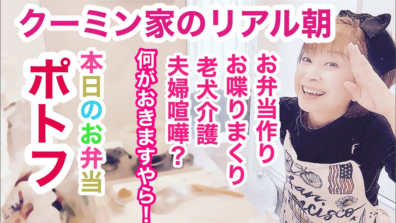 カメラ放置💦リアルすぎてすみません💦老犬介護中🐶【クーミン家のリアル朝】