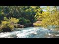 Relaxing Clear River ASMR 🌊 Pure Water Flow – No Rain No Music for Deep Sleep