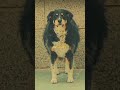 #perros #perro #dog #dogs #trending #animals #aniamal #trend #trendingshorts #viral