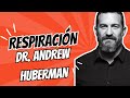 Liberate del estrés en 5 minutos con la respiración de Dr. Andrew Huberman #respiracionconsciente