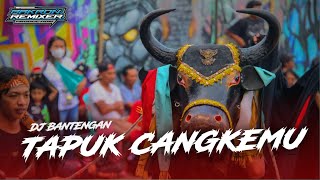 DJ BANTENGAN TAPOK CANGKEMU READY GAWE KALAPAN MU BOLO 🤣