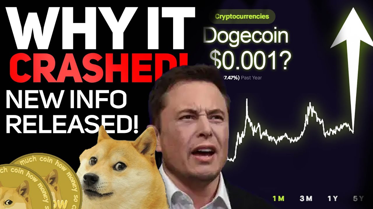 WHY DID DOGECOIN CRASH? NEW INFO REVEALED - ALL HOLDERS WATCH ...