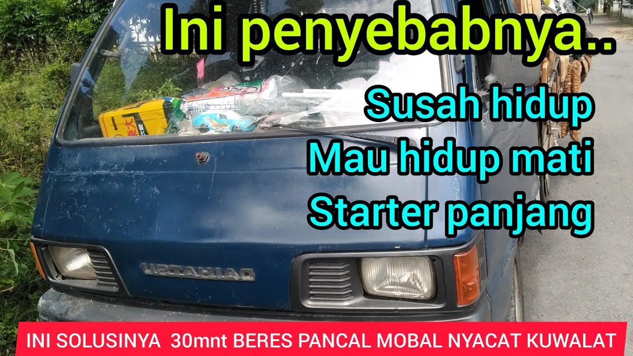 mobil ZEBRA SUSAH HIDUP, inilah penyebab dan solusinya