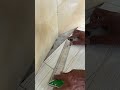 “Stop Doing This When Tiling Corners! 😱”