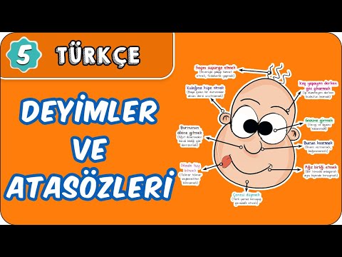 Deyimler ve Atasözleri | 5. Sınıf Türkçe evokul Kampı