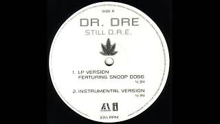 Dr. Dre feat. Snoop Dogg - Still D.R.E (Instrumental) 432 Hz