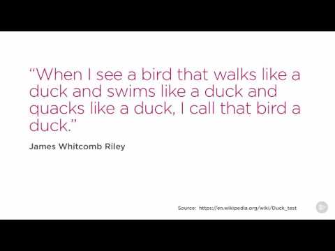 06 03 Duck Typing