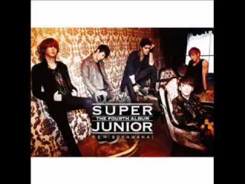 Coagulation Super Junior English Translation