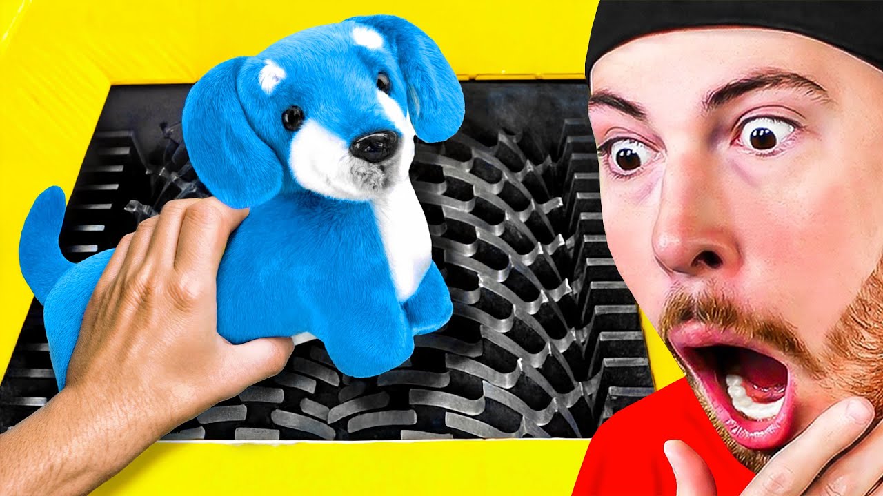 Everyday Items vs Shredder! (SATISFYING)
