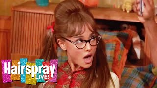 Without Love | Ariana Grande & Maddie Baillio | Hairspray! Live by The Shows Must Go On! 26,220 views 4 months ago 7 minutes, 37 seconds